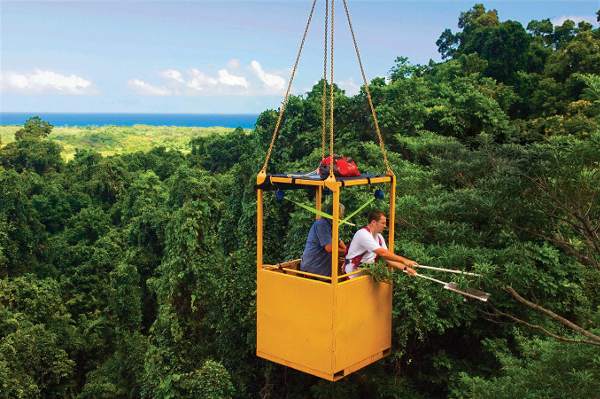 Researching in the rainforest